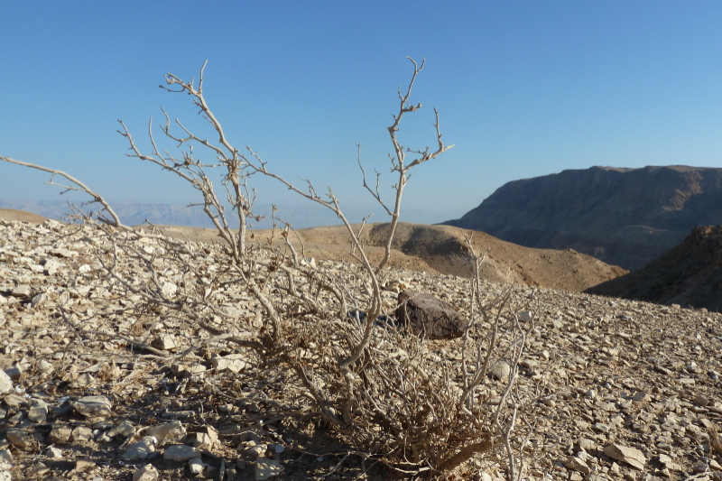 Wadi Darga